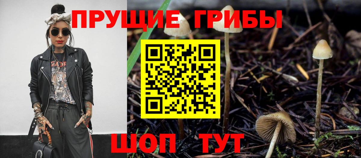 купить  цена  Псилоцибиновые грибы Psilocybine cubensis  Вход с VPN  Черняховск 